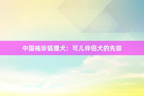 中国袖珍狐狸犬:可儿伴侣犬的先容