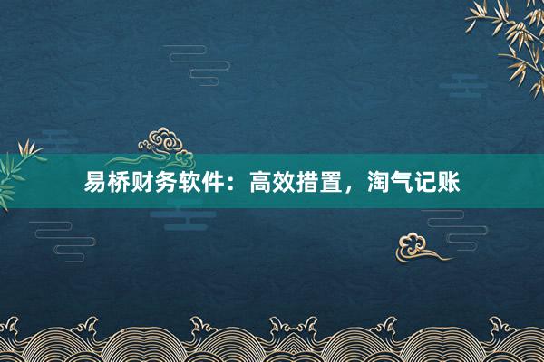 易桥财务软件：高效措置，淘气记账